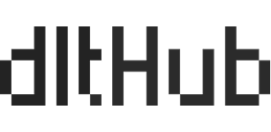 black dlthub logo